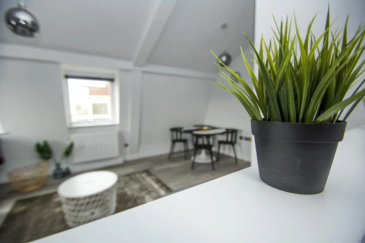 Windsor Lodge Hove Apartmán